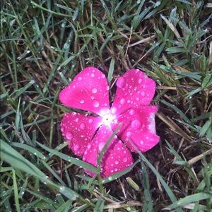 Meet your Posher, Grace